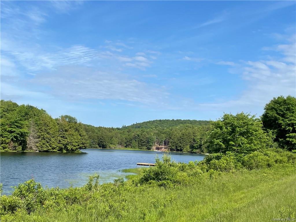 Land Tanzman  Sullivan, NY 12768, MLS-H6123698-3