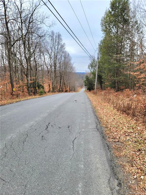 Land Burnt Ridge Road Tr 64  Sullivan, NY 12733, MLS-H6222706-3