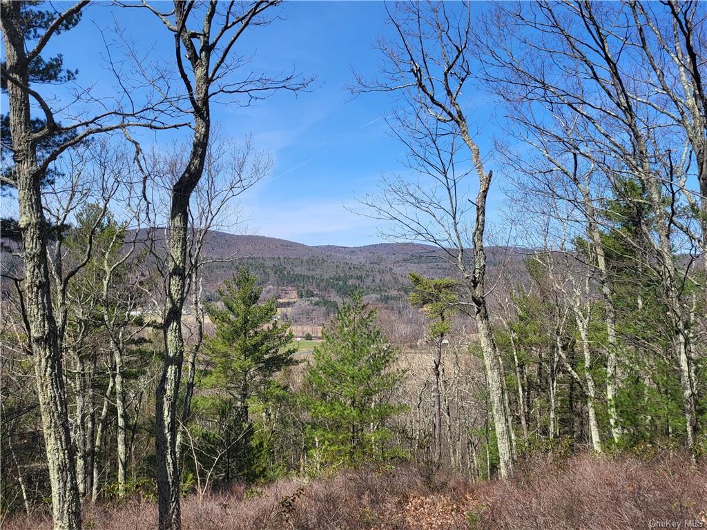 Land Old Plank  Ulster, NY 12420, MLS-H6180707-3
