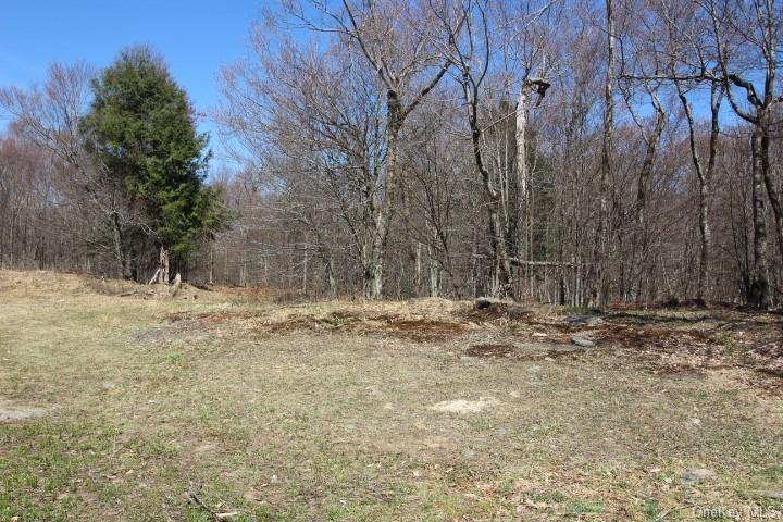 Land Cattail  Sullivan, NY 12758, MLS-H6244708-3