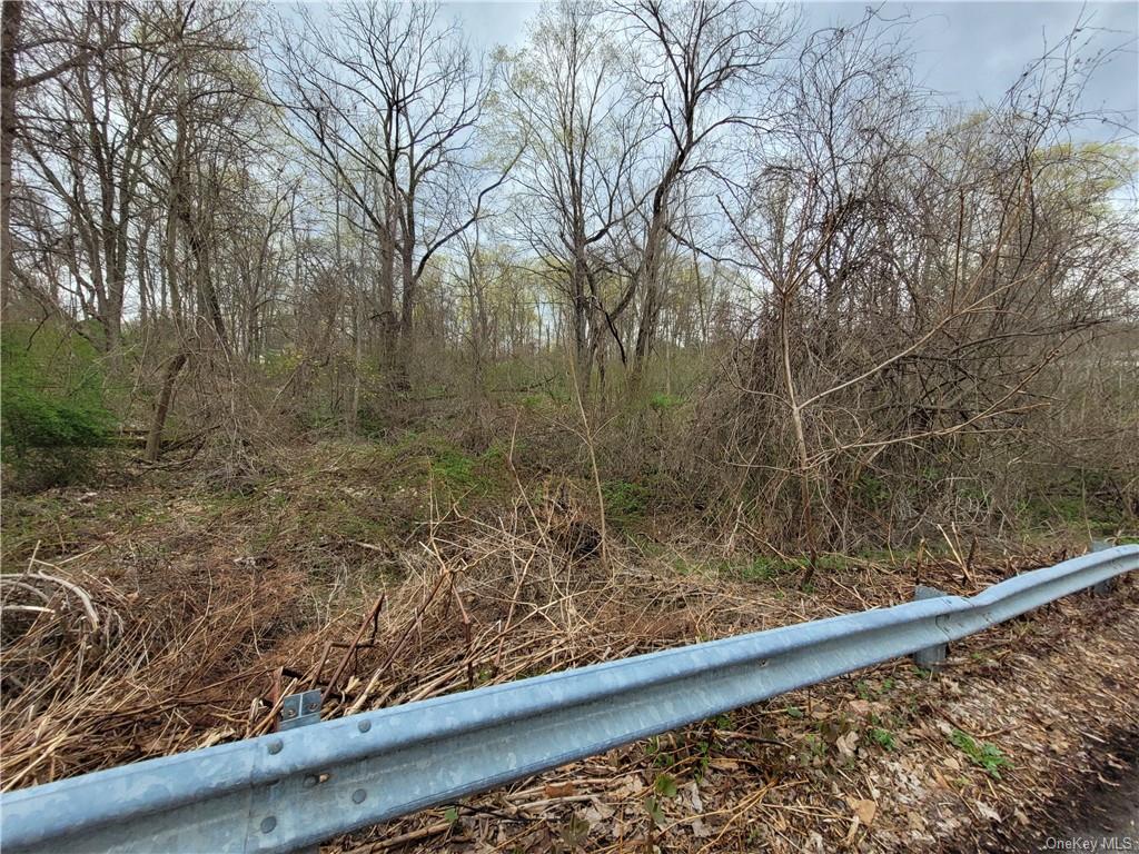 Land Fowler  Westchester, NY 10567, MLS-H6184715-3