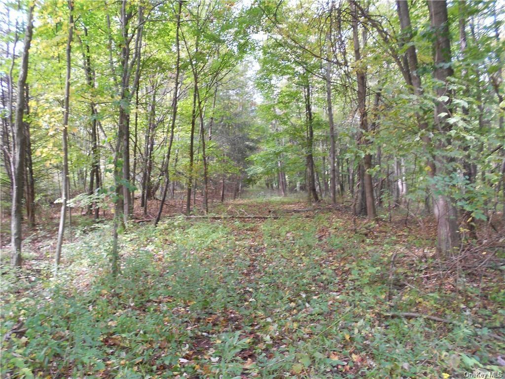 Land State Route 32  Ulster, NY 12548, MLS-H6265719-3
