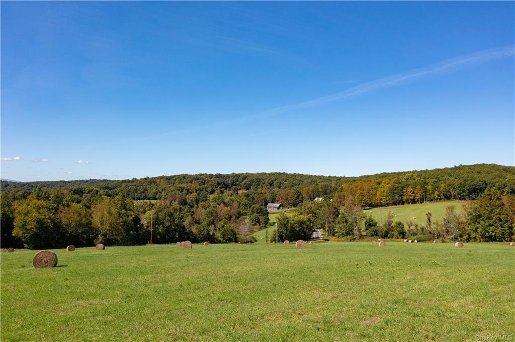 Land Hill Top  Columbia, NY 12502, MLS-H6258720-3