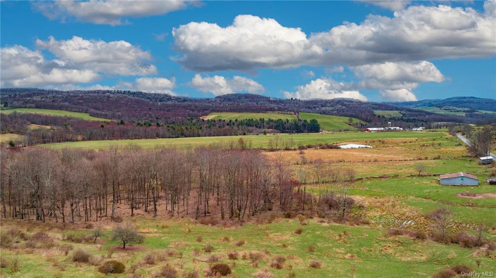 Land Peters  Sullivan, NY 12736, MLS-H6256722-3