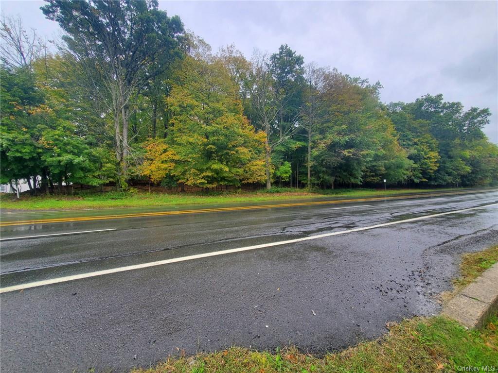 Land Route 303  Rockland, NY 10913, MLS-H6273740-3