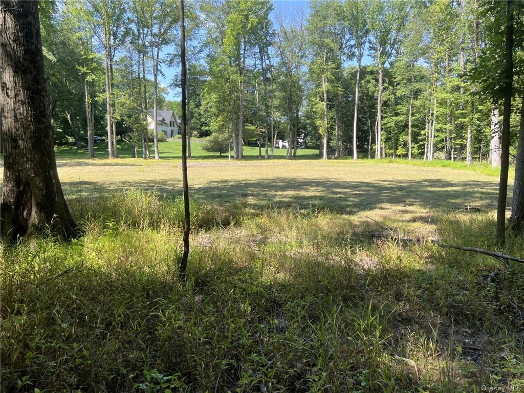 Land Route 9w  Rockland, NY 10964, MLS-H6264742-3