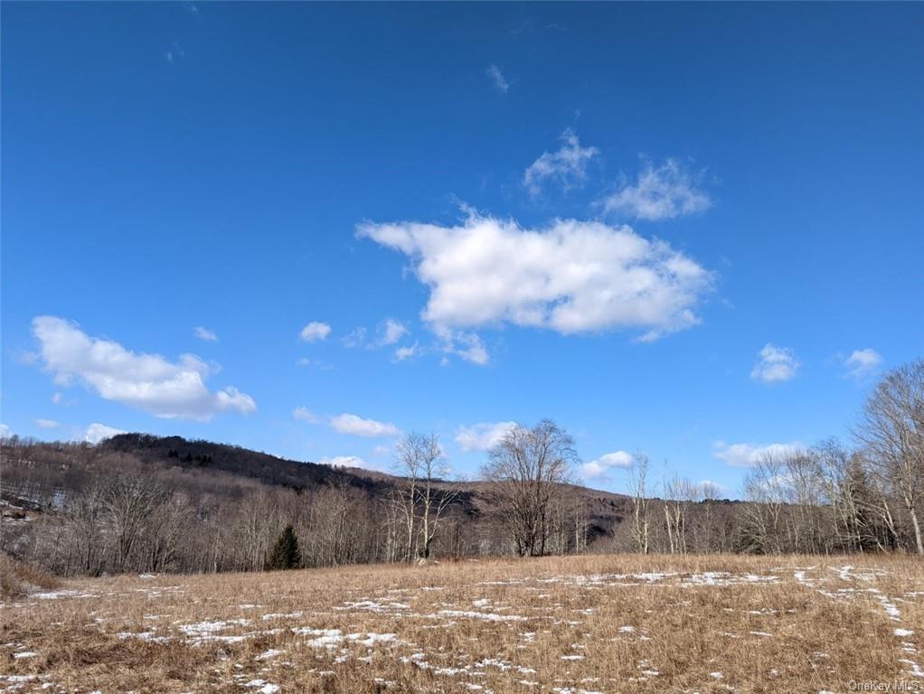 Land 0 Buck Brook Rd Tr10  Sullivan, NY 12736, MLS-H6172755-3