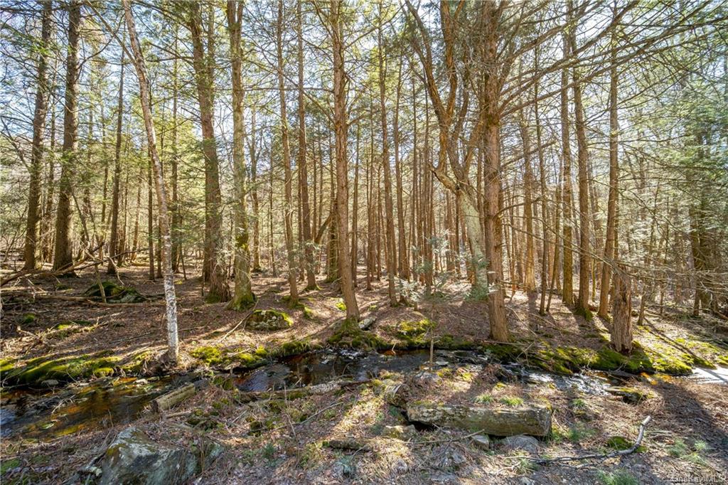 Land Beaver Lane Tr 166  Sullivan, NY 12733, MLS-H6242756-3