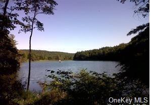 Land Beaverkill  Sullivan, NY 12758, MLS-H6252758-3