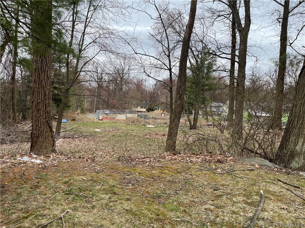 Land Williams  Rockland, NY 10977, MLS-H6240769-3