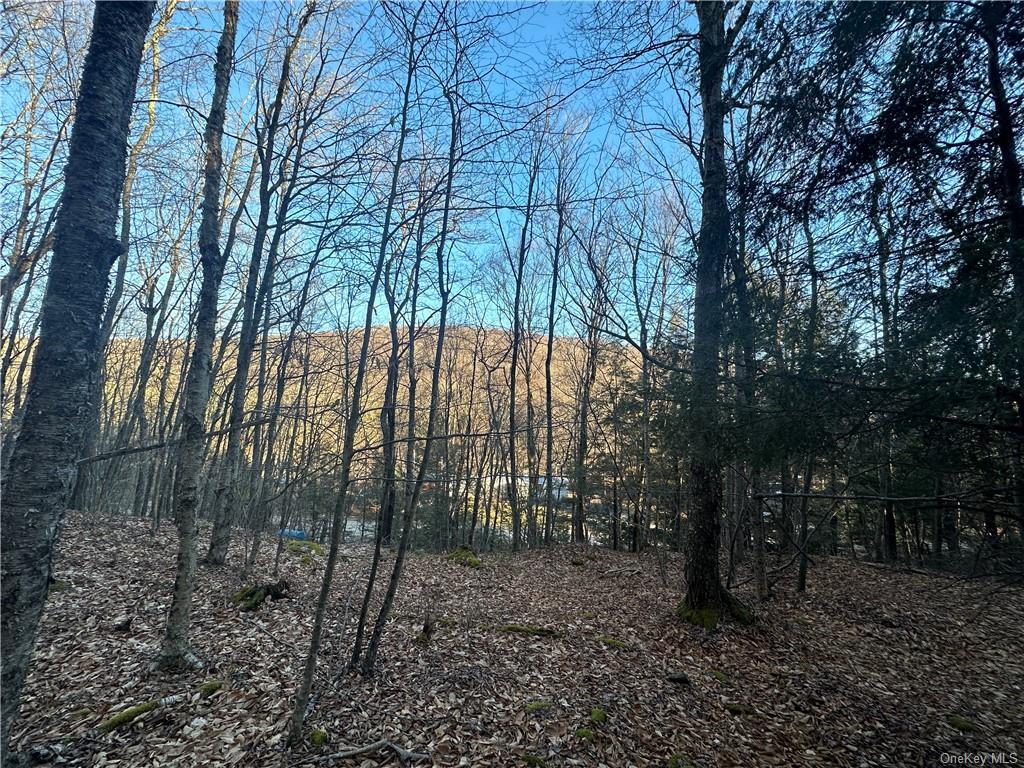 Land Grooville  Sullivan, NY 12758, MLS-H6233770-3