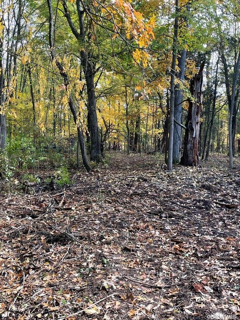 Land Tammy  Out Of Area, NY 12015, MLS-3465779-3