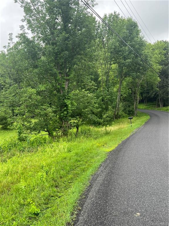 Land Big Hollow  Sullivan, NY 12765, MLS-H6256806-3