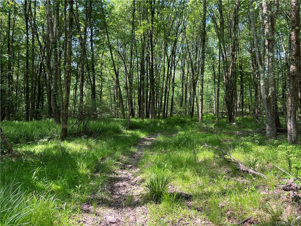 Land Gables  Sullivan, NY 12764, MLS-H6252813-3