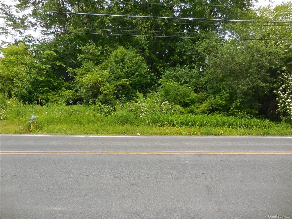 Land Fletcher  Orange, NY 12550, MLS-H4953818-3