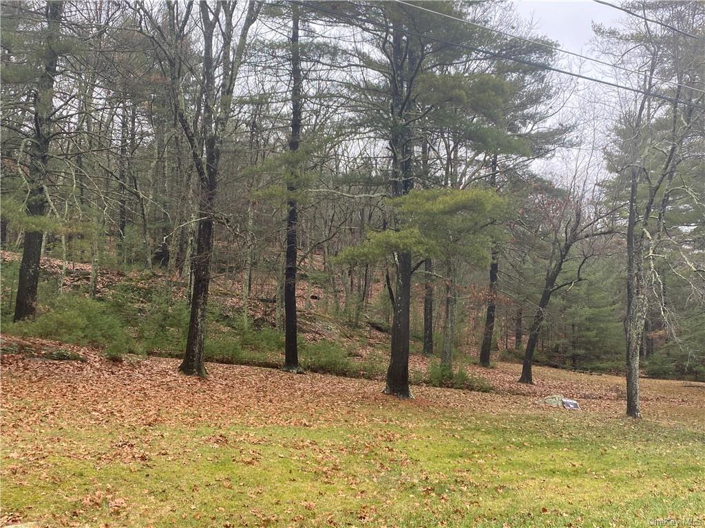 Land Diane  Ulster, NY 12428, MLS-H6223846-3