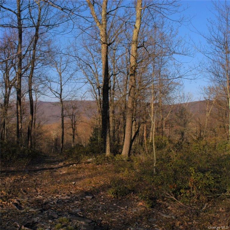 Land Mount Vernon  Sullivan, NY 12790, MLS-H6274851-3