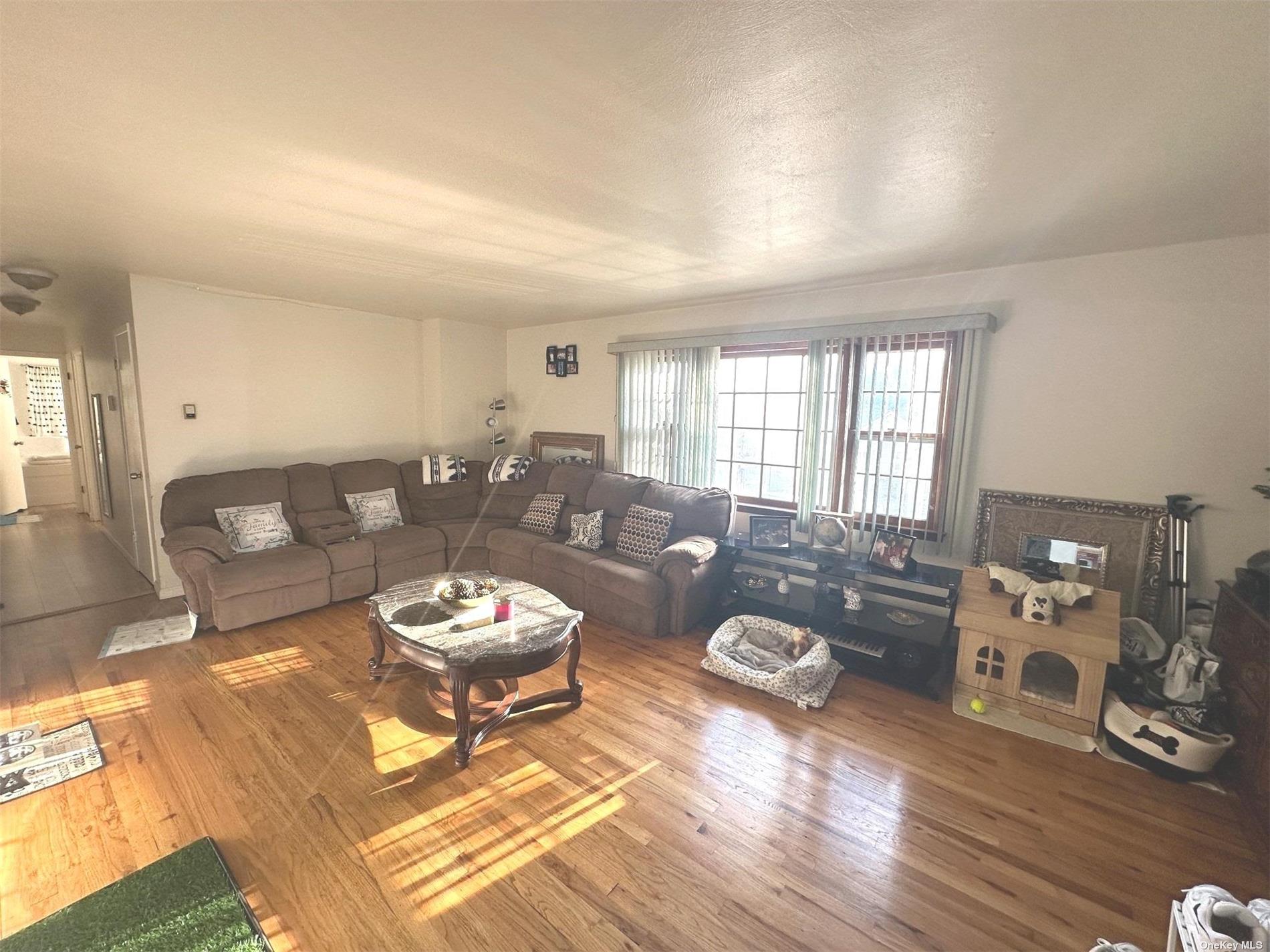 Apartment William  Nassau, NY 11542, MLS-3518852-3