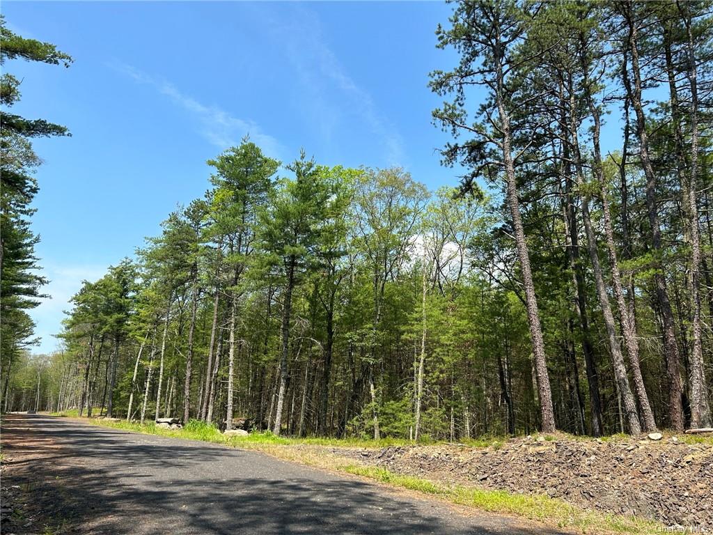 Land Clendening  Ulster, NY 12484, MLS-H6259859-3