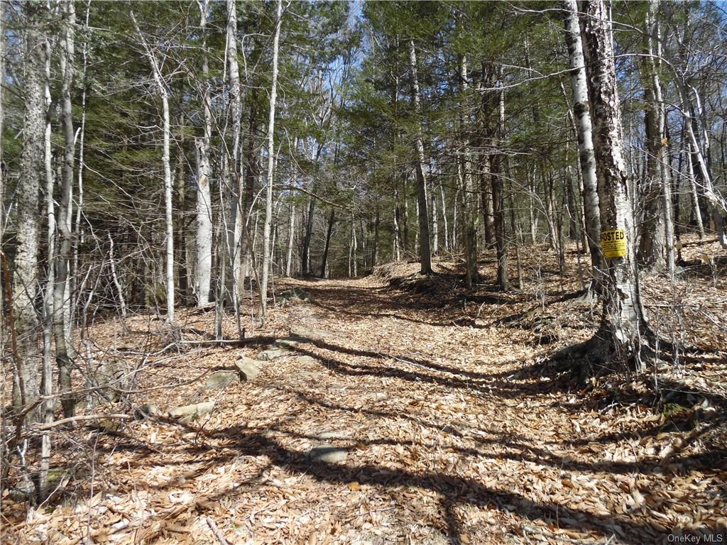 Land Gulf  Sullivan, NY 12724, MLS-H6238867-3