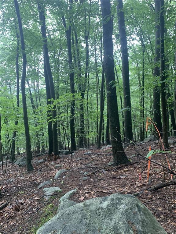 Land Route 17  Rockland, NY 10931, MLS-H6256872-3