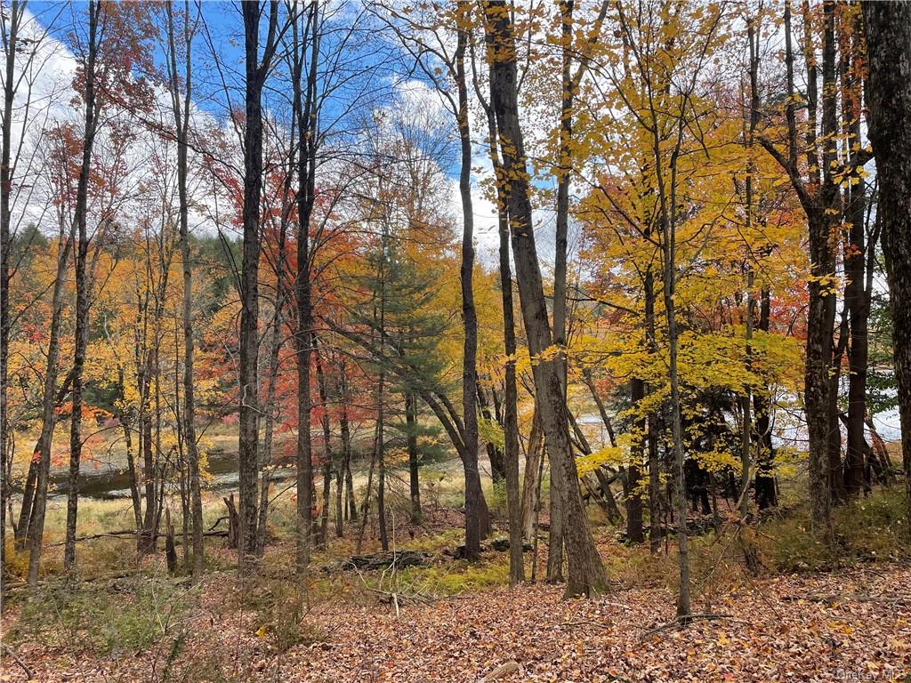 Land Cty Hwy 141 - Horseshoe Lake Rd Lots 10.7 & 10.9  Sullivan, NY 12720, MLS-H6240873-3