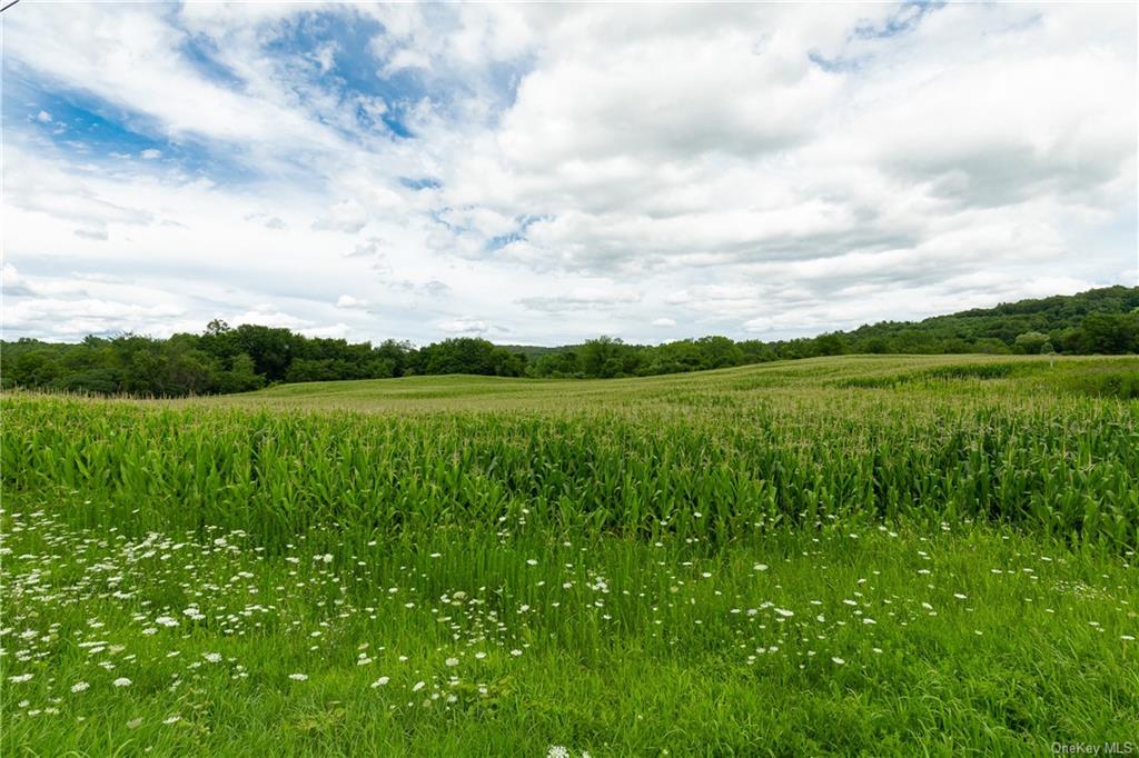 Land Yonderview  Columbia, NY 12529, MLS-H6201889-3