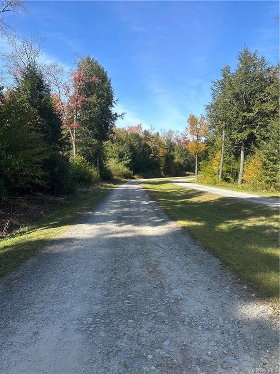 Land Eagles Ridge  Sullivan, NY 12768, MLS-H6271898-3