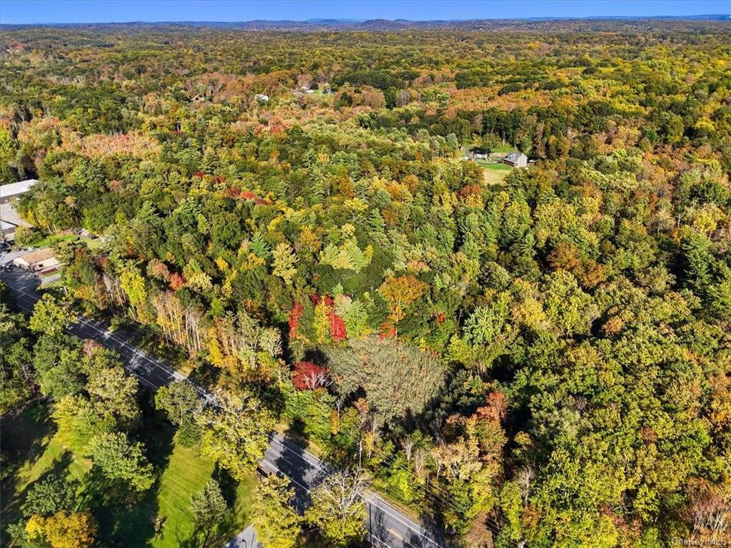 Land Albany Post  Dutchess, NY 12538, MLS-H6273906-3