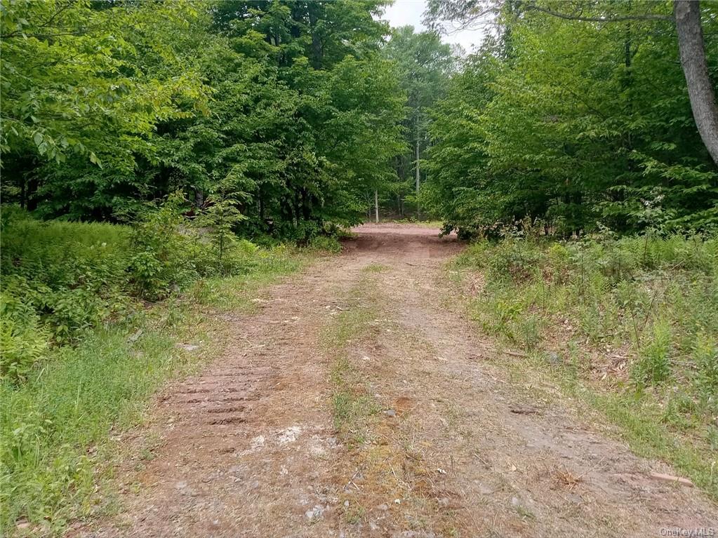 Land Black Bear  Sullivan, NY 12725, MLS-H6253912-3