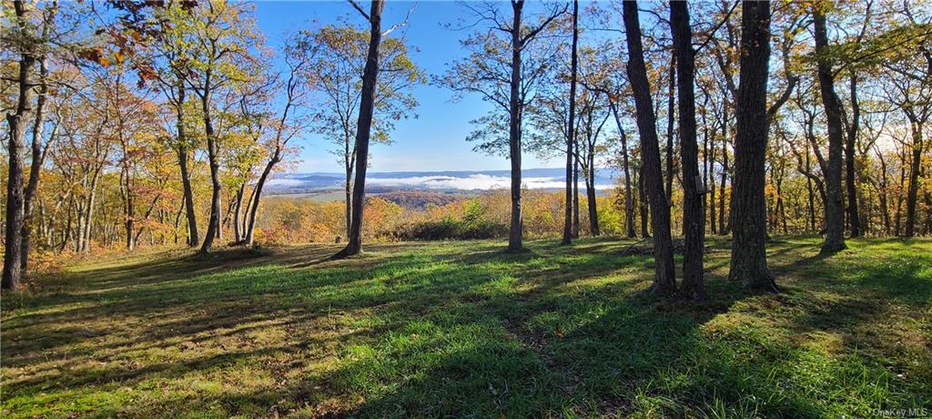 Land Cascade  Dutchess, NY 12501, MLS-H6176942-3