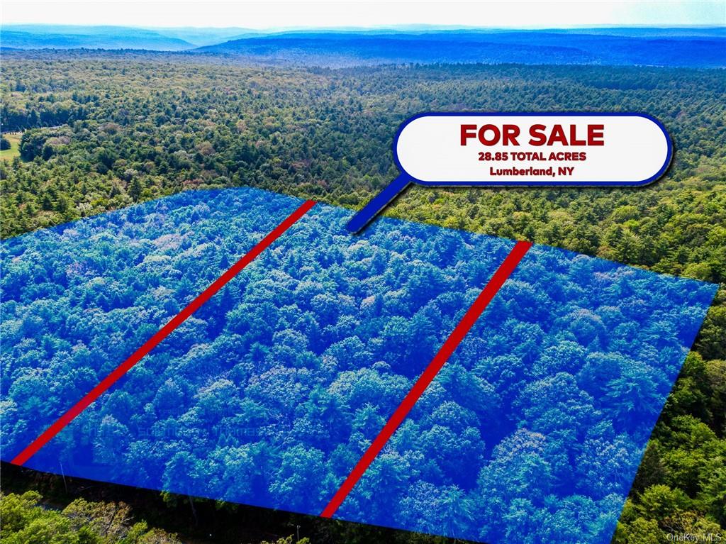 Land Barker/rowley  Sullivan, NY 12528, MLS-H6257962-3