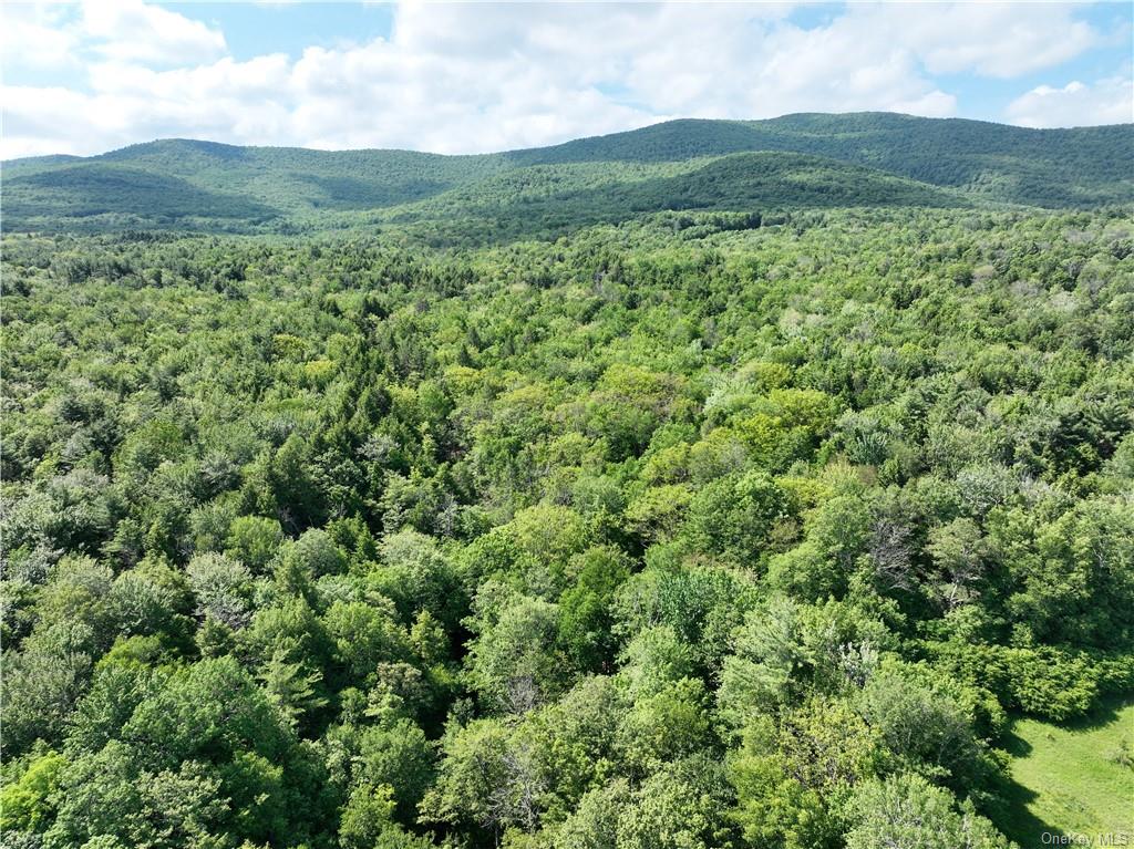 Land Beaver Hill  Out Of Area, NY 12076, MLS-H6268965-3
