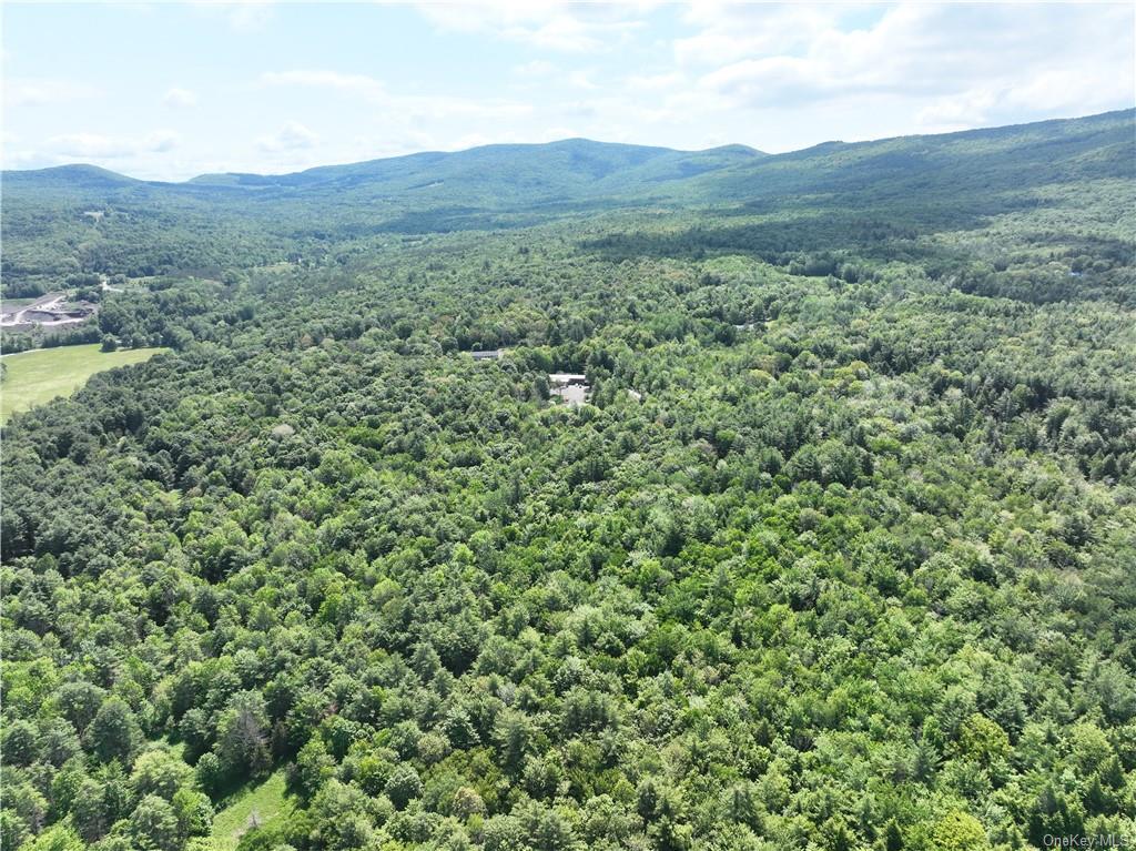 Land Beaver Hill  Out Of Area, NY 12076, MLS-H6268966-3