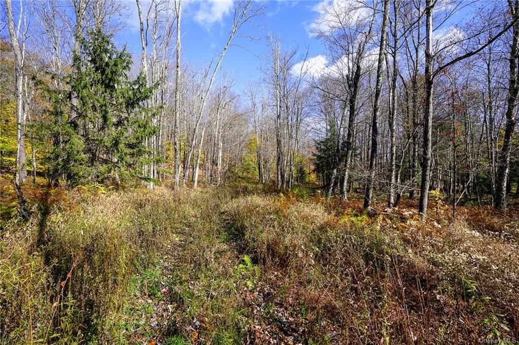 Land Amber Lake  Sullivan, NY 12758, MLS-H6150969-3