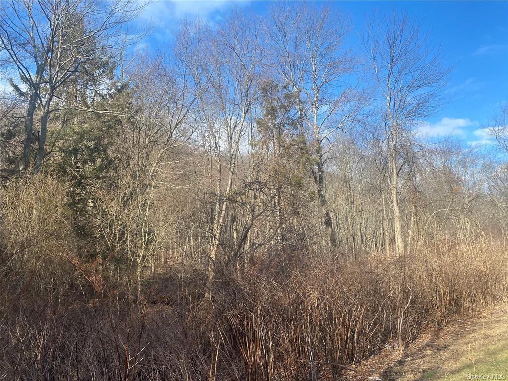 Land Armonk  Westchester, NY 10549, MLS-H6228972-3
