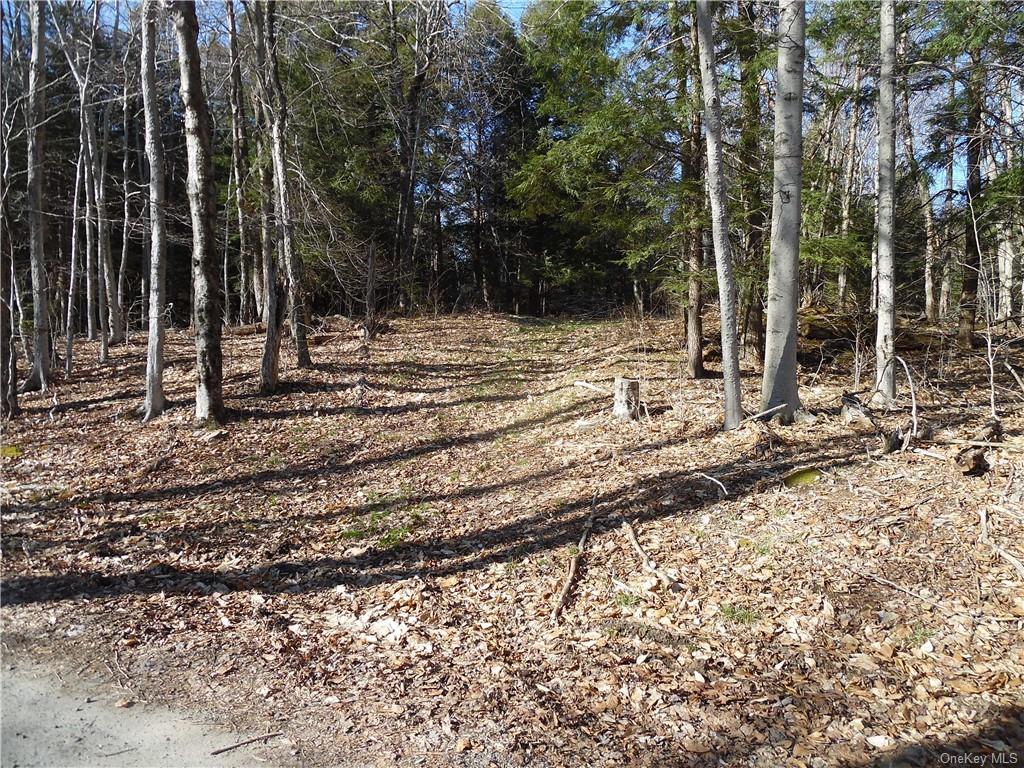 Land Revonah Hill  Sullivan, NY 12754, MLS-H6227985-3