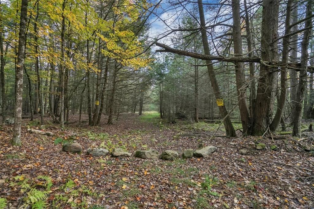 Land Buchanan  Sullivan, NY 12738, MLS-H6260992-3