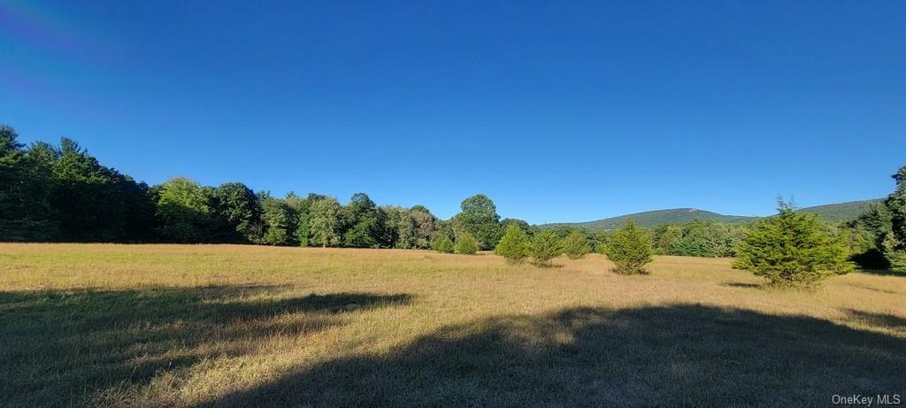 Land Meyerson  Sullivan, NY 12790, MLS-H6207993-3