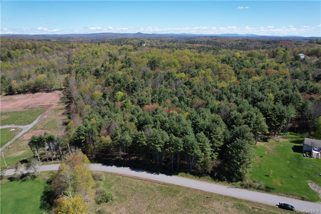 Land Royce  Sullivan, NY 12720, MLS-H6245995-3