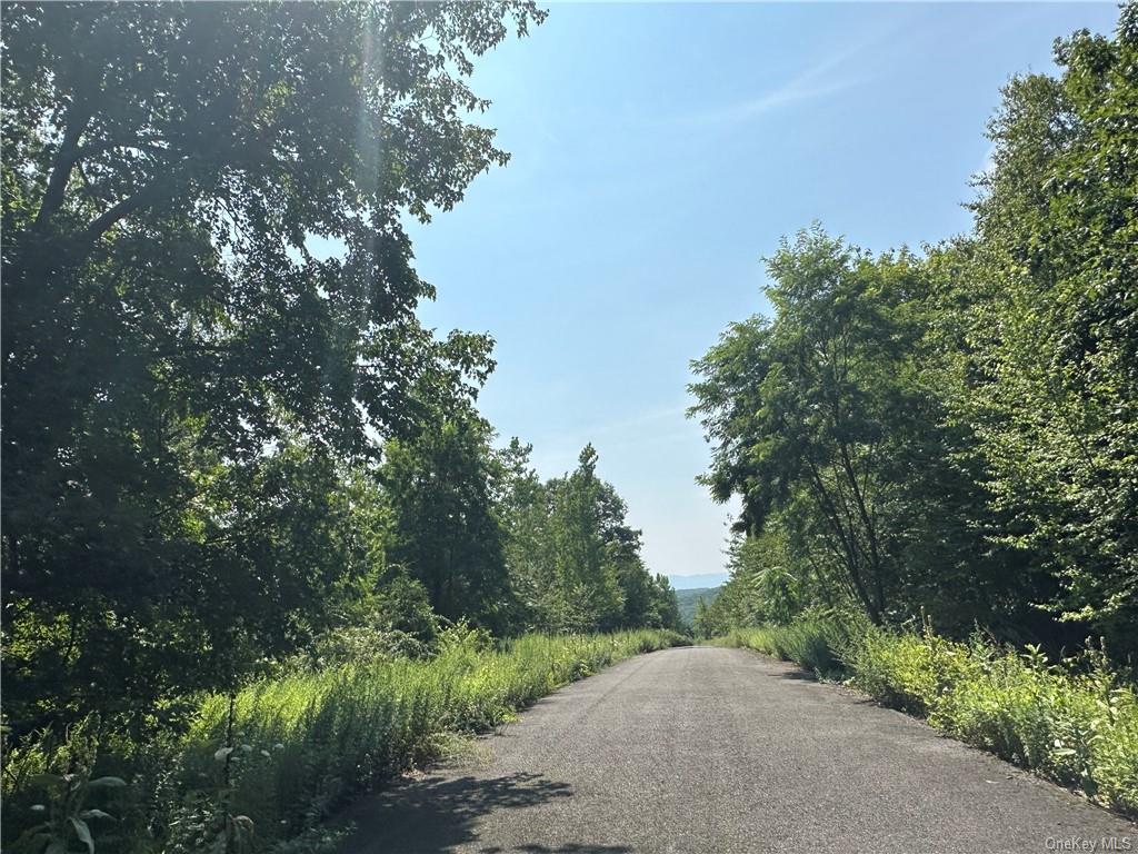 Land Truncali  Ulster, NY 12542, MLS-H6263292-30