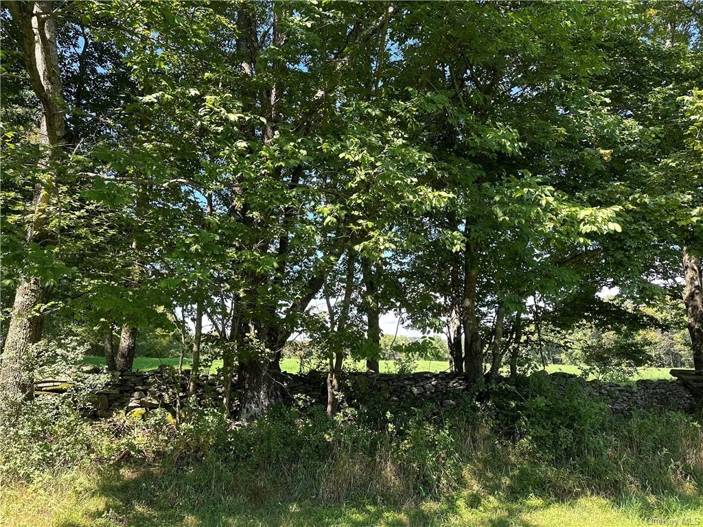 Land Menges  Sullivan, NY 12791, MLS-H6268308-30