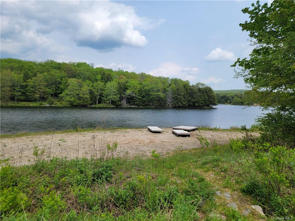 Land Eagles Ridge  Sullivan, NY 12768, MLS-H6232574-30