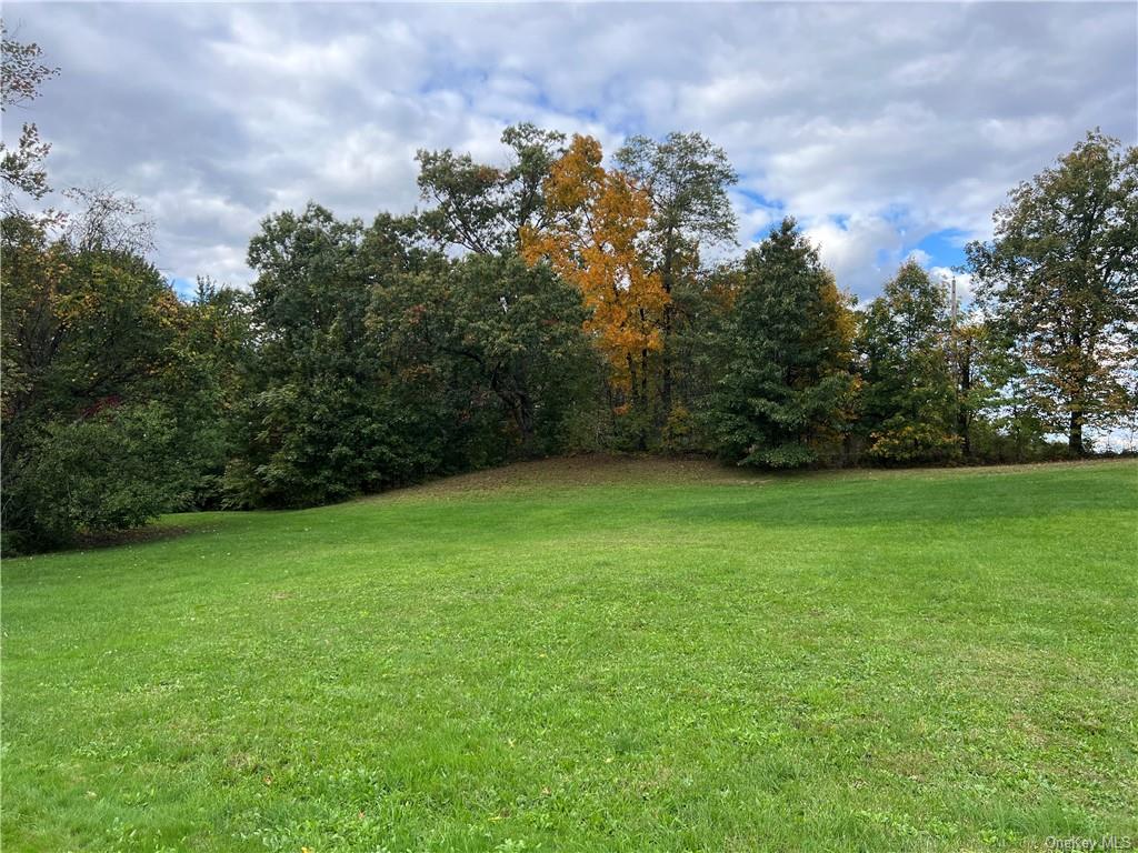 Land Birch  Ulster, NY 12589, MLS-H6271581-30