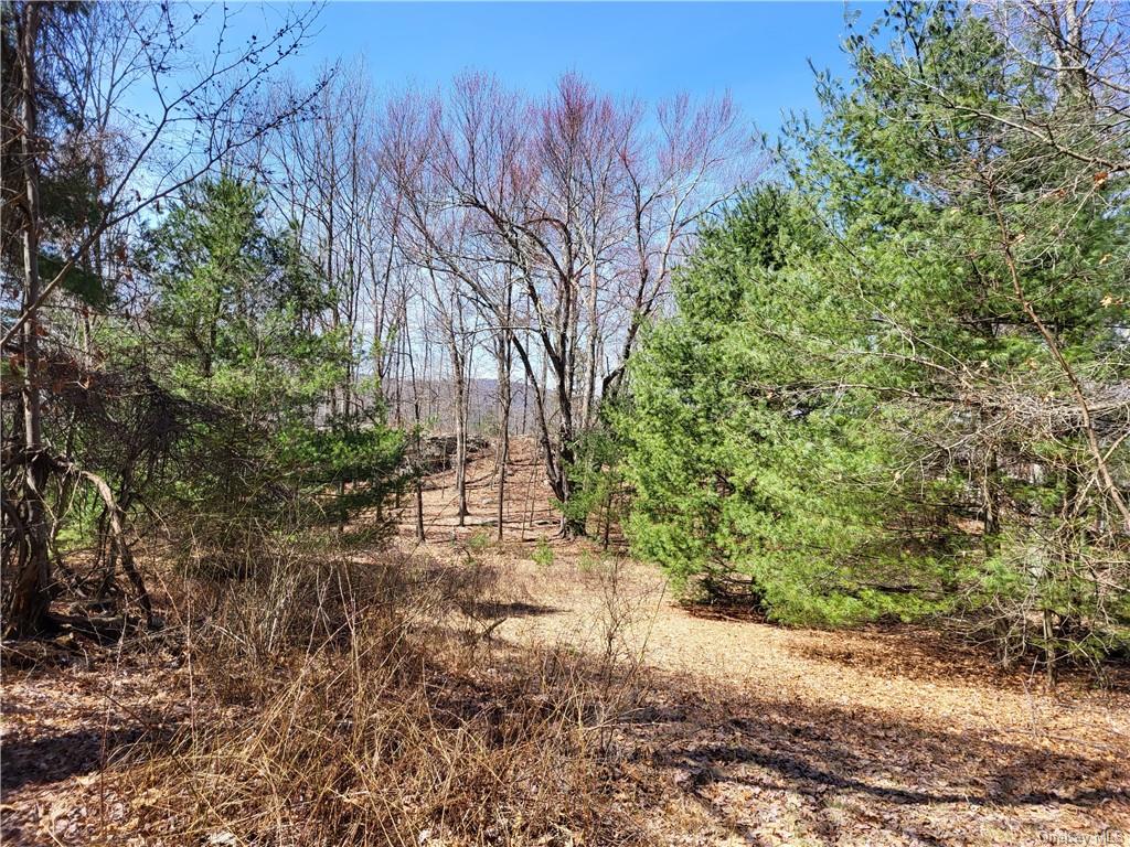 Land Old Plank  Ulster, NY 12420, MLS-H6180707-30