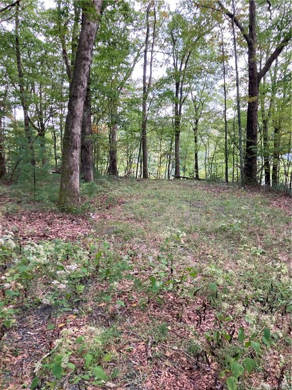 Land Route 52  Ulster, NY 12489, MLS-H6271730-30
