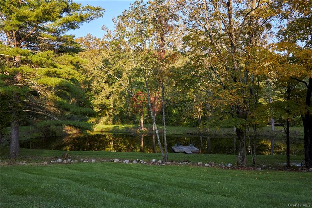 Single Family Valley Stream Farm  Dutchess, NY 12572, MLS-H6271735-30