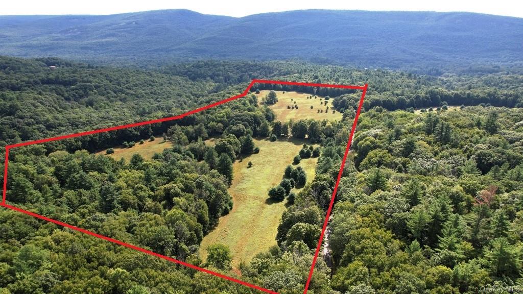 Land Meyerson  Sullivan, NY 12790, MLS-H6207993-30