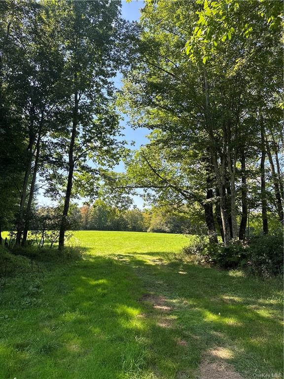 Land Menges  Sullivan, NY 12791, MLS-H6268308-31