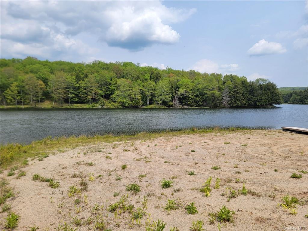 Land Eagles Ridge  Sullivan, NY 12768, MLS-H6232574-31